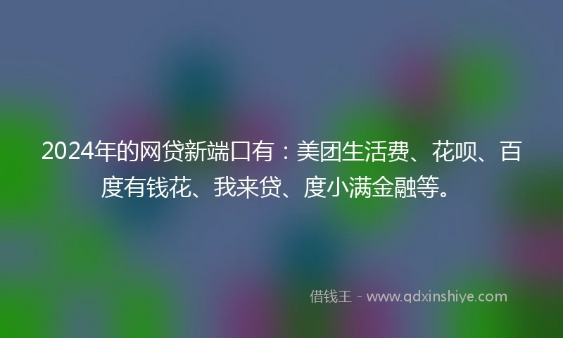 2024年的网贷新端口有：美团生活费、花呗、百度有钱花、我来贷、度小满金融等。