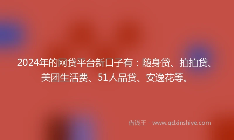 2024年的网贷平台新口子有：随身贷、拍拍贷、美团生活费、51人品贷、安逸花等。