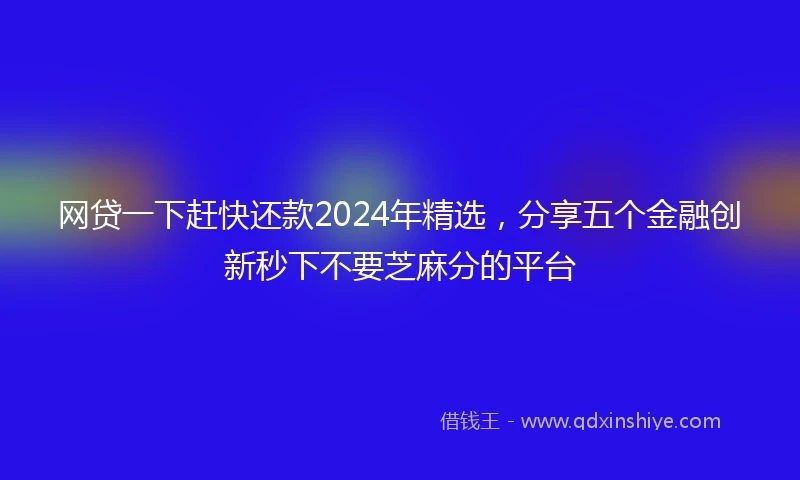 网贷一下赶快还款2024年精选，分享五个金融创新秒下不要芝麻分的平台