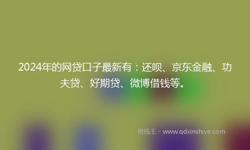 2024年的网贷口子最新有：还呗、京东金融、功夫贷、好期贷、微博借钱等。