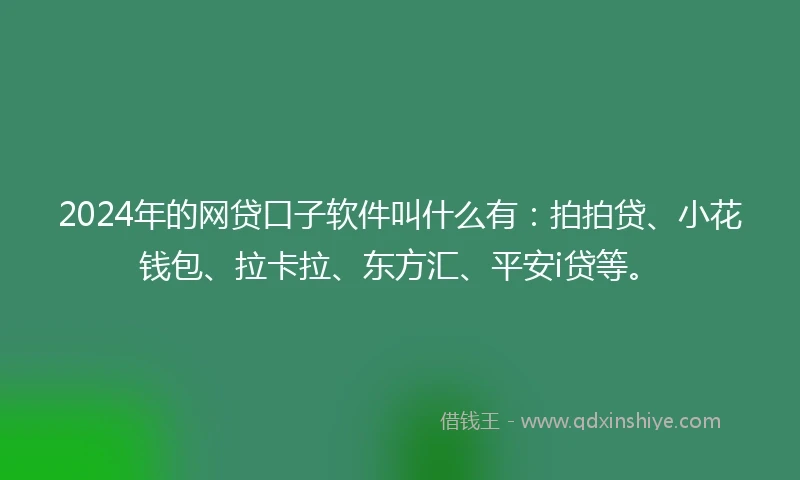 2024年的网贷口子软件叫什么有：拍拍贷、小花钱包、拉卡拉、东方汇、平安i贷等。