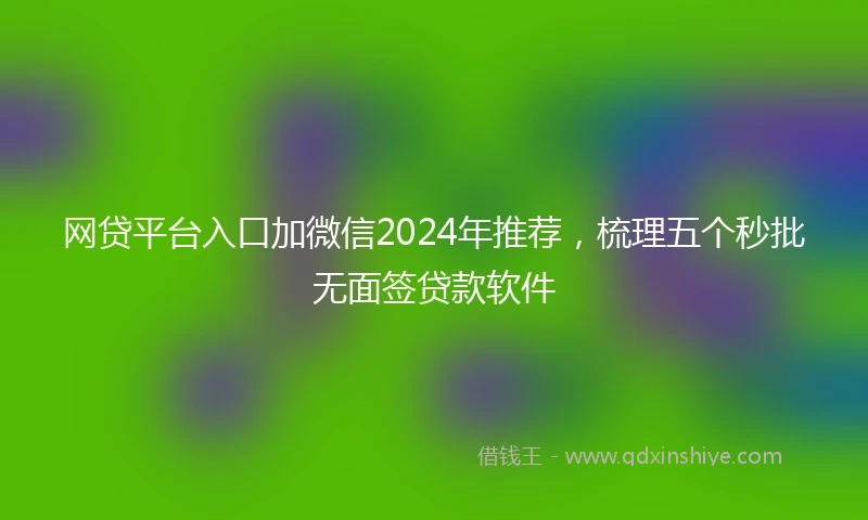网贷平台入口加微信2024年推荐，梳理五个秒批无面签贷款软件