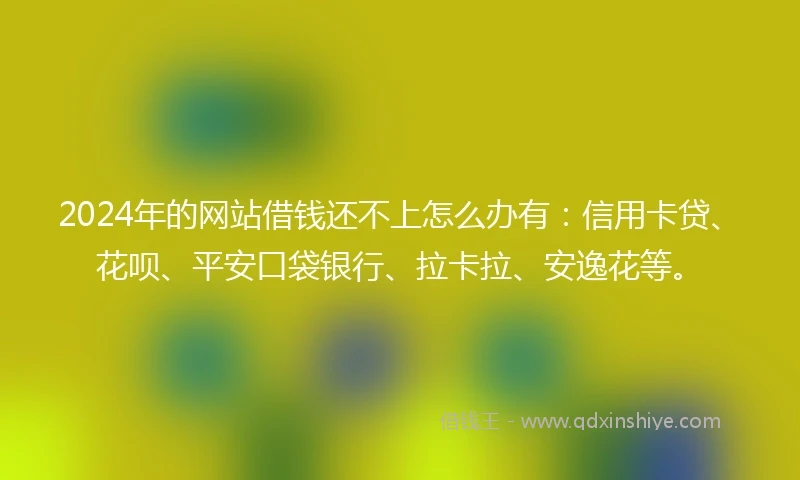 2024年的网站借钱还不上怎么办有：信用卡贷、花呗、平安口袋银行、拉卡拉、安逸花等。