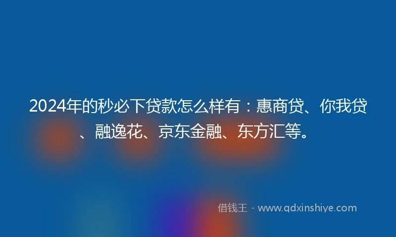 2024年的秒必下贷款怎么样有：惠商贷、你我贷、融逸花、京东金融、东方汇等。