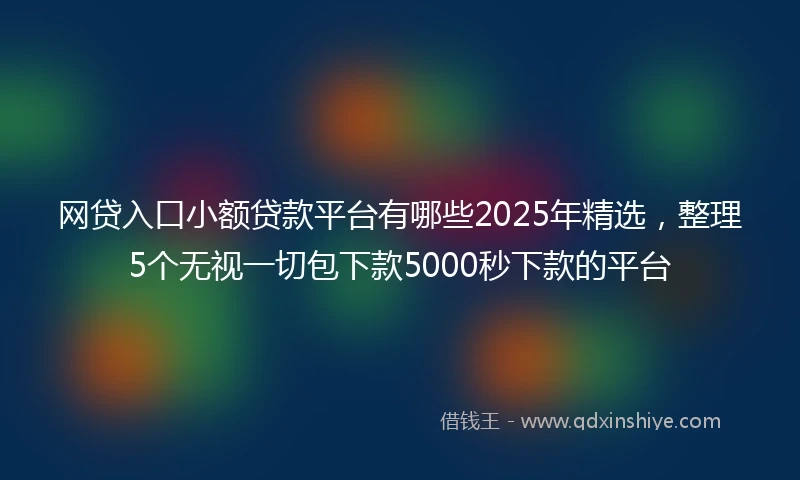 网贷入口小额贷款平台有哪些2025年精选，整理5个无视一切包下款5000秒下款的平台