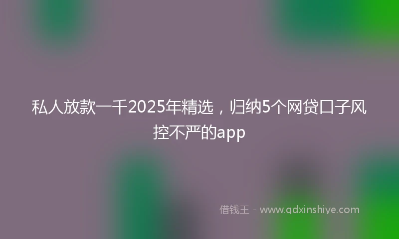 私人放款一千2025年精选，归纳5个网贷口子风控不严的app