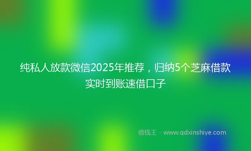 纯私人放款微信2025年推荐，归纳5个芝麻借款实时到账速借口子