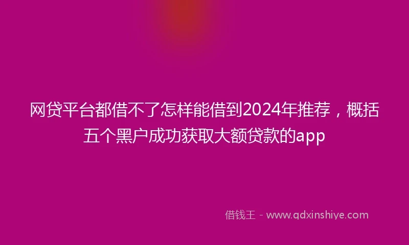 网贷平台都借不了怎样能借到2024年推荐，概括五个黑户成功获取大额贷款的app