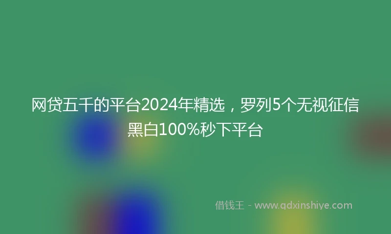 网贷五千的平台2024年精选,罗列5个无视征信黑白100%秒下平台