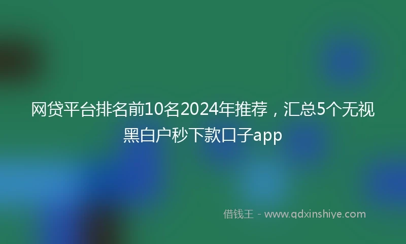 网贷平台排名前10名2024年推荐，汇总5个无视黑白户秒下款口子app