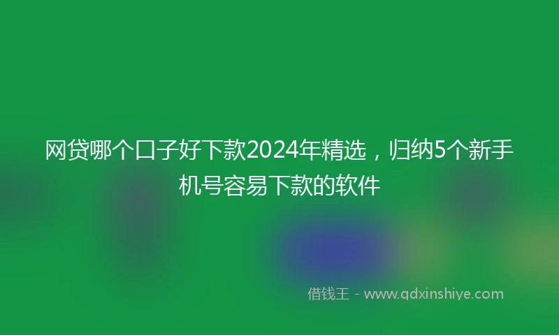 网贷哪个口子好下款2024年精选，归纳5个新手机号容易下款的软件