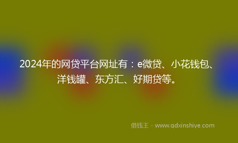 2024年的网贷平台网址有：e微贷、小花钱包、洋钱罐、东方汇、好期贷等。