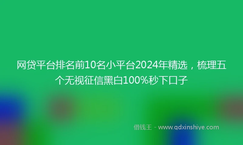 网贷平台排名前10名小平台2024年精选，梳理五个无视征信黑白100%秒下口子
