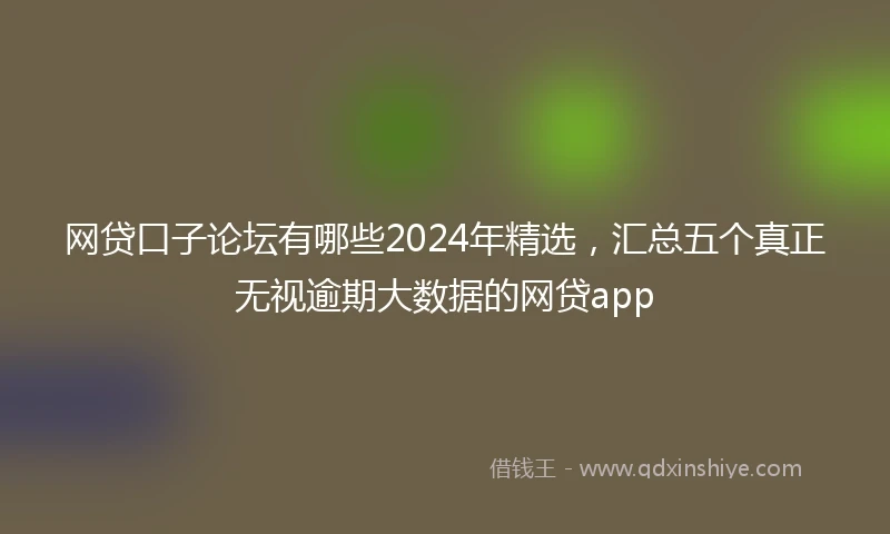 网贷口子论坛有哪些2024年精选，汇总五个真正无视逾期大数据的网贷app
