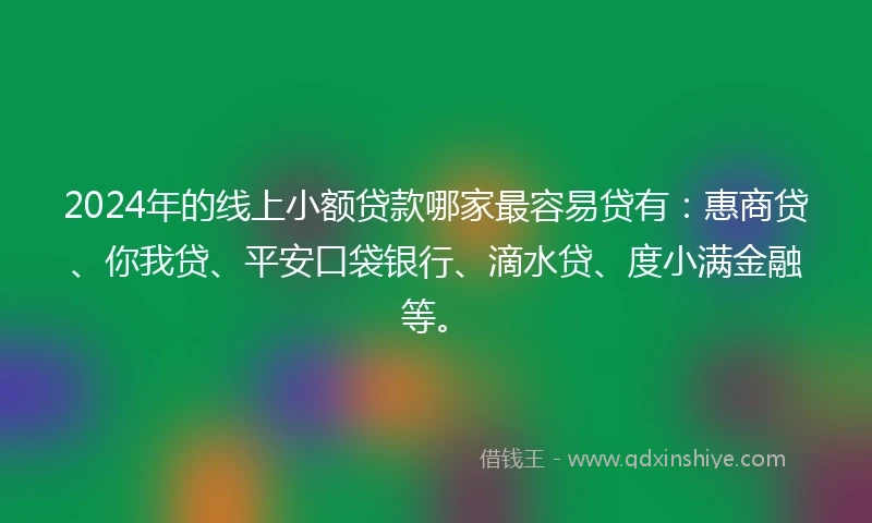 2024年的线上小额贷款哪家最容易贷有：惠商贷、你我贷、平安口袋银行、滴水贷、度小满金融等。