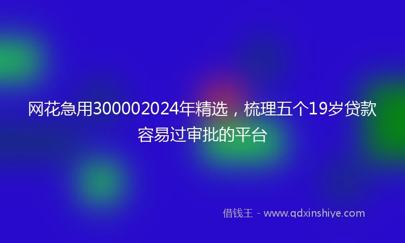 网花急用300002024年精选，梳理五个19岁贷款容易过审批的平台