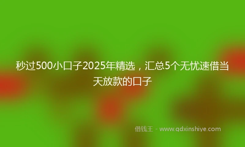 秒过500小口子2025年精选，汇总5个无忧速借当天放款的口子
