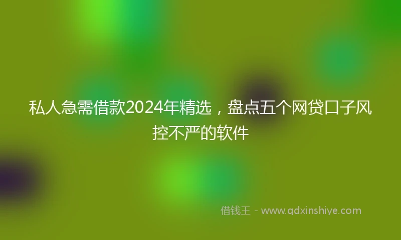 私人急需借款2024年精选，盘点五个网贷口子风控不严的软件