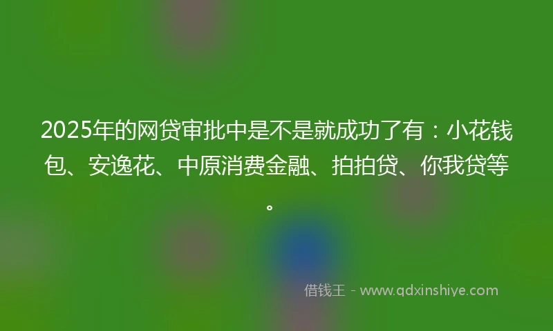 2025年的网贷审批中是不是就成功了有：小花钱包、安逸花、中原消费金融、拍拍贷、你我贷等。