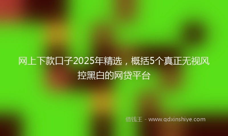 网上下款口子2025年精选，概括5个真正无视风控黑白的网贷平台