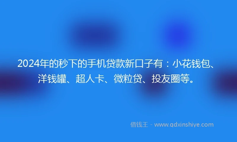 2024年的秒下的手机贷款新口子有：小花钱包、洋钱罐、超人卡、微粒贷、投友圈等。