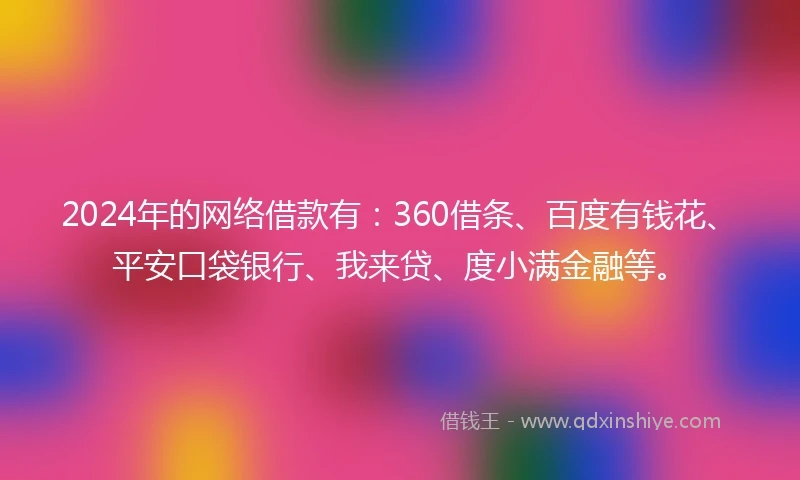 2024年的网络借款有：360借条、百度有钱花、平安口袋银行、我来贷、度小满金融等。
