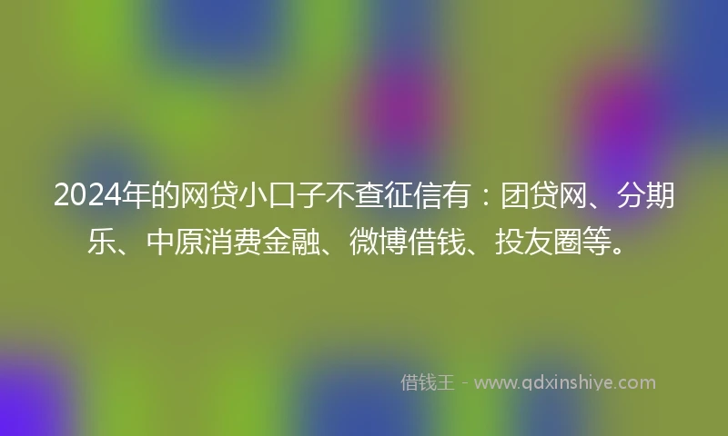 2024年的网贷小口子不查征信有：团贷网、分期乐、中原消费金融、微博借钱、投友圈等。