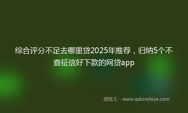 综合评分不足去哪里贷2025年推荐,归纳5个不查征信好下款的网贷app