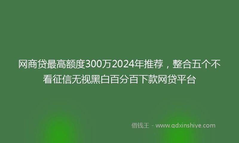 网商贷最高额度300万2024年推荐，整合五个不看征信无视黑白百分百下款网贷平台