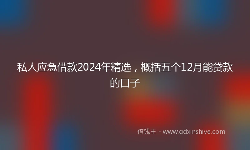 私人应急借款2024年精选，概括五个12月能贷款的口子