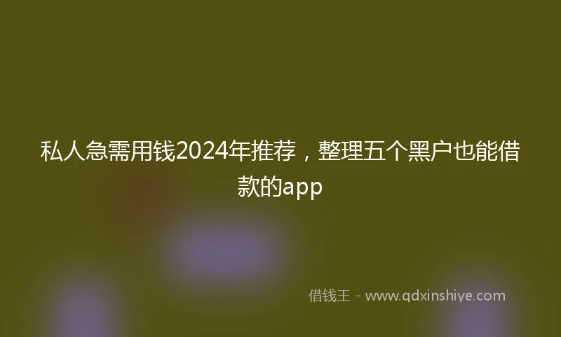 私人急需用钱2024年推荐，整理五个黑户也能借款的app