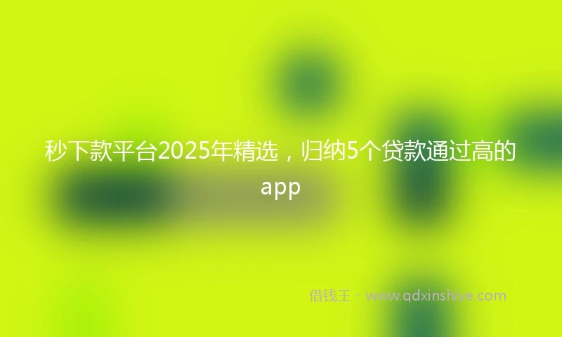 秒下款平台2025年精选，归纳5个贷款通过高的app