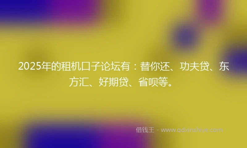 2025年的租机口子论坛有：替你还、功夫贷、东方汇、好期贷、省呗等。