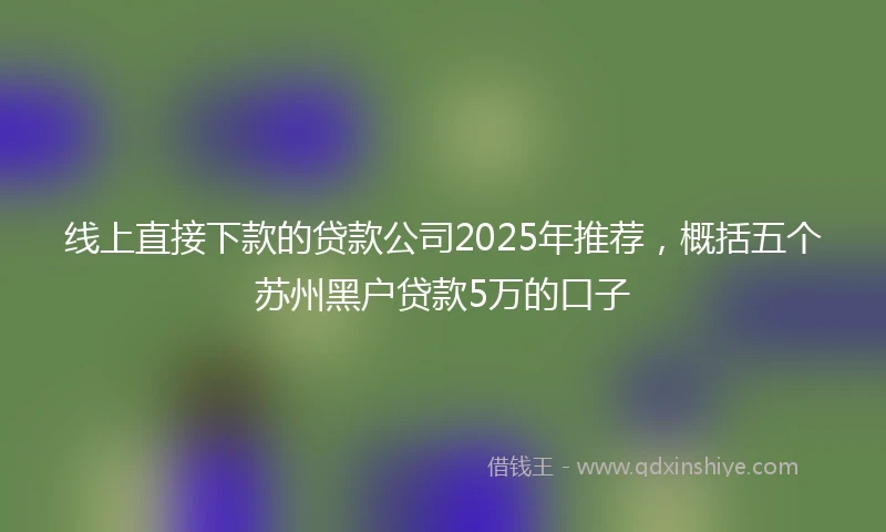 线上直接下款的贷款公司2025年推荐，概括五个苏州黑户贷款5万的口子