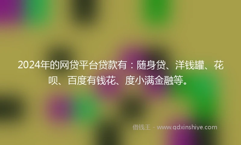2024年的网贷平台贷款有：随身贷、洋钱罐、花呗、百度有钱花、度小满金融等。