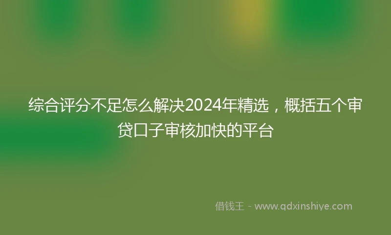 综合评分不足怎么解决2024年精选，概括五个审贷口子审核加快的平台