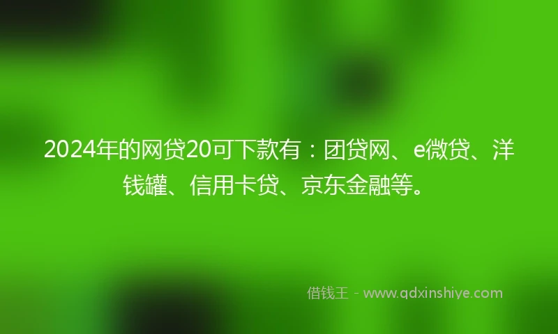 2024年的网贷20可下款有：团贷网、e微贷、洋钱罐、信用卡贷、京东金融等。