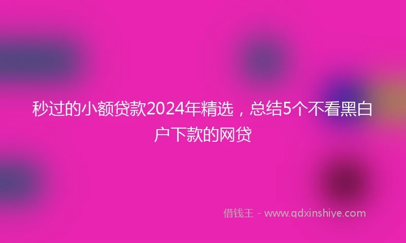 秒过的小额贷款2024年精选，总结5个不看黑白户下款的网贷