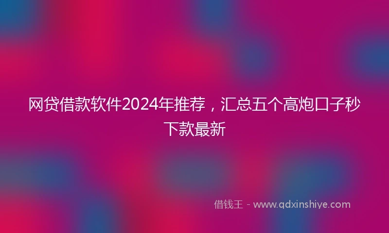 网贷借款软件2024年推荐，汇总五个高炮口子秒下款最新