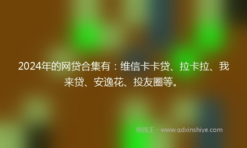 2024年的网贷合集有：维信卡卡贷、拉卡拉、我来贷、安逸花、投友圈等。