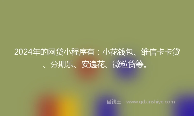 2024年的网贷小程序有：小花钱包、维信卡卡贷、分期乐、安逸花、微粒贷等。