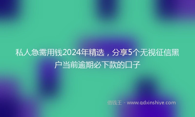 私人急需用钱2024年精选，分享5个无视征信黑户当前逾期必下款的口子