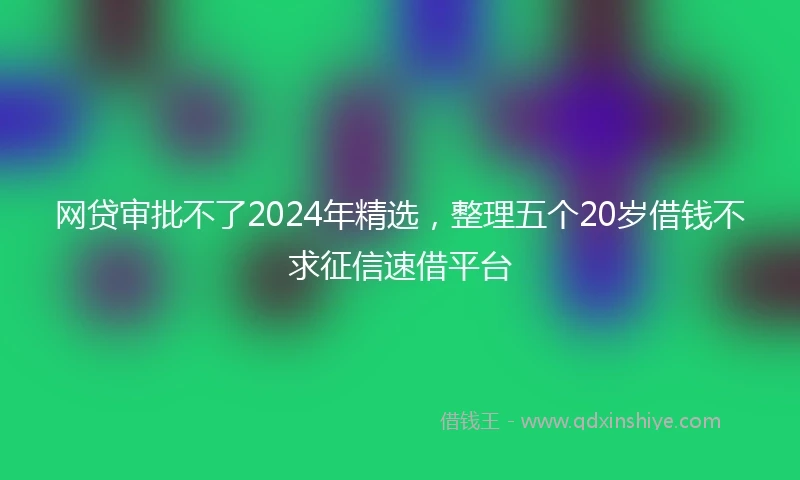 网贷审批不了2024年精选，整理五个20岁借钱不求征信速借平台