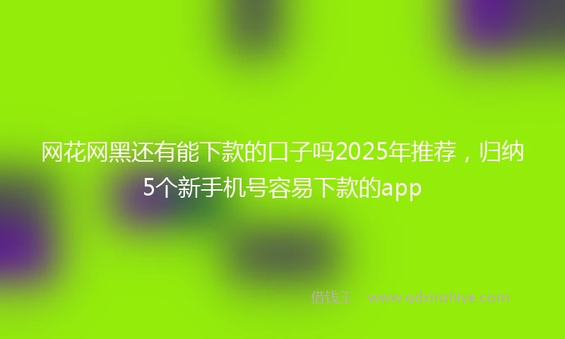 网花网黑还有能下款的口子吗2025年推荐，归纳5个新手机号容易下款的app