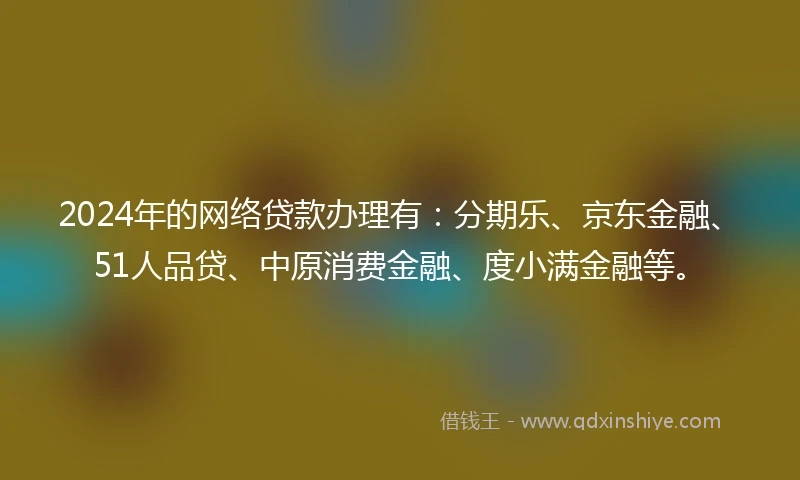2024年的网络贷款办理有：分期乐、京东金融、51人品贷、中原消费金融、度小满金融等。