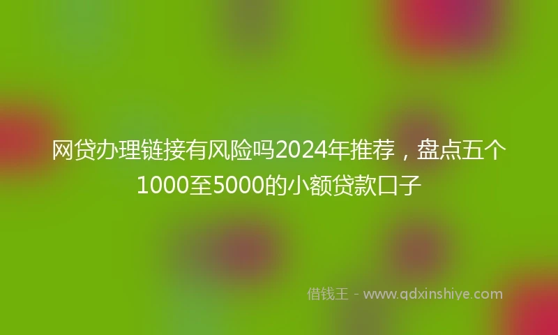 网贷办理链接有风险吗2024年推荐，盘点五个1000至5000的小额贷款口子