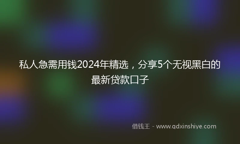 私人急需用钱2024年精选，分享5个无视黑白的最新贷款口子