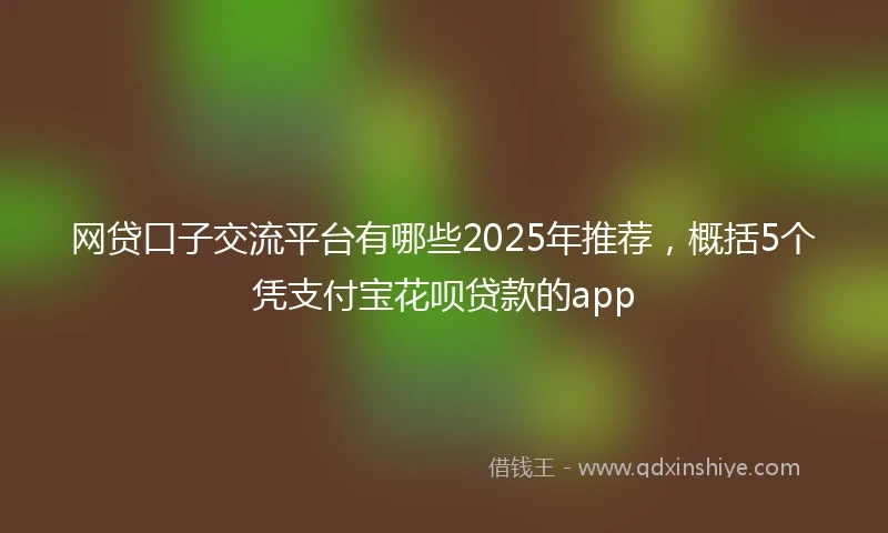 网贷口子交流平台有哪些2025年推荐，概括5个凭支付宝花呗贷款的app