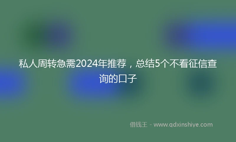私人周转急需2024年推荐，总结5个不看征信查询的口子