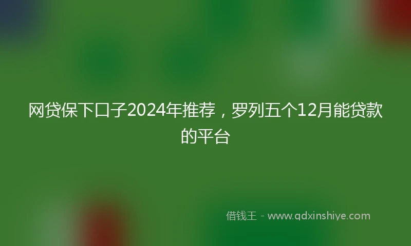 网贷保下口子2024年推荐，罗列五个12月能贷款的平台